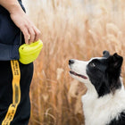 Riñonera Deportiva Azul para Entrenamiento Canino - Portaobjetos Cómoda