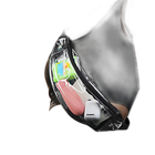 Riñonera de Cintura para Mujer - Bolso Bandolera Casual y Elegante